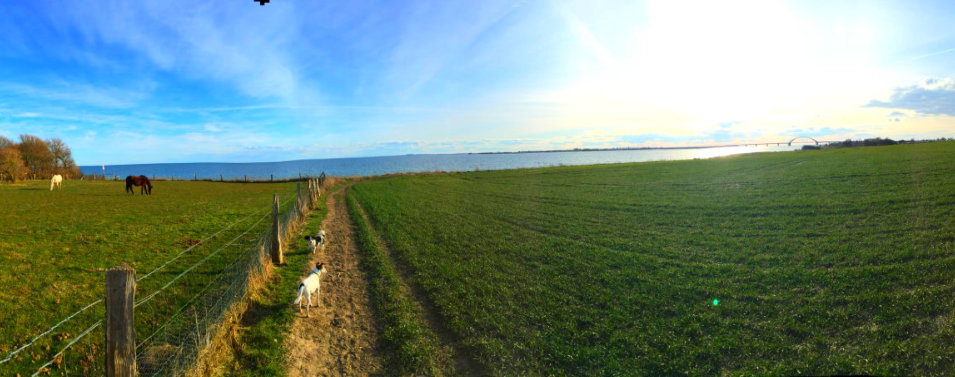 Blick zur Ostsee und zur Fehmarnsundbrcke Fehmarn